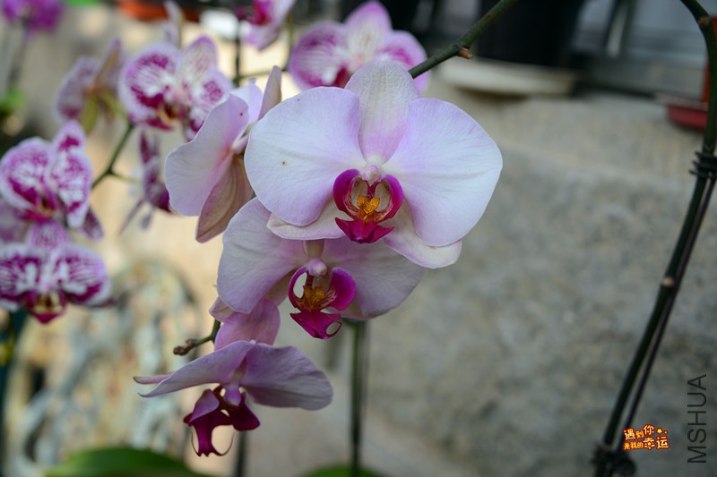 ��Ƭ 043_����.jpg