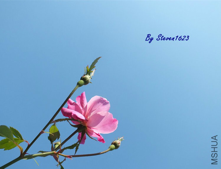 月月�