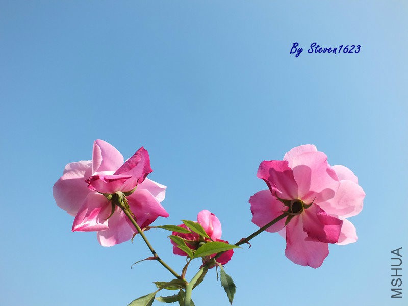 月月�