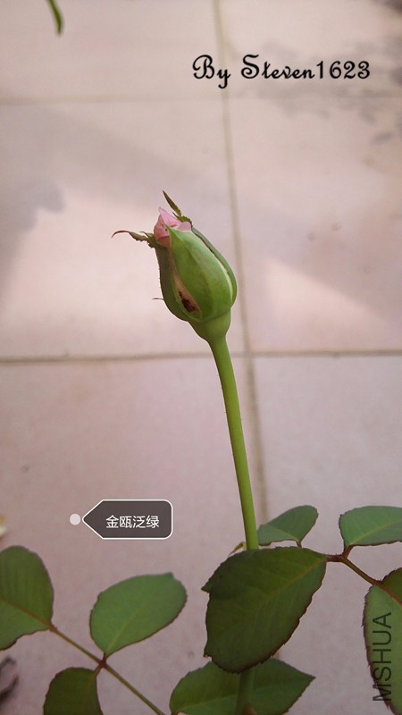 ��걷��� (2).jpg