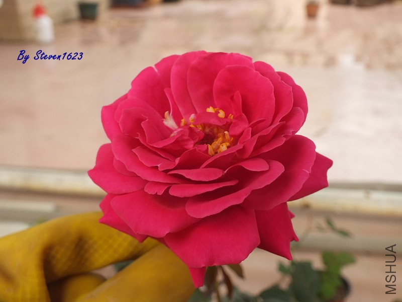 һƷ���� (2).jpg