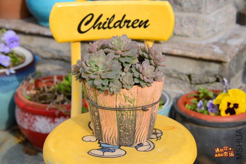 ��Ƭ 102_����.jpg