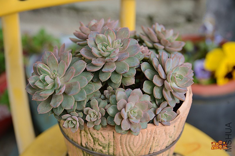 ��Ƭ 104_����.jpg