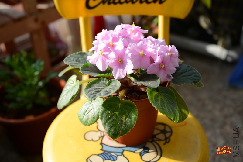 ��Ƭ 015_����.jpg