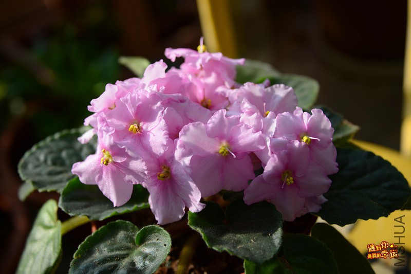 ��Ƭ 017_����.jpg