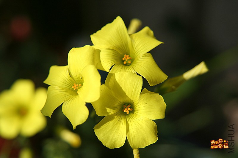 ��Ƭ 053_����.jpg