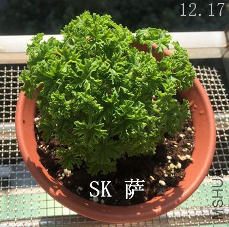 SK ��_����.jpg