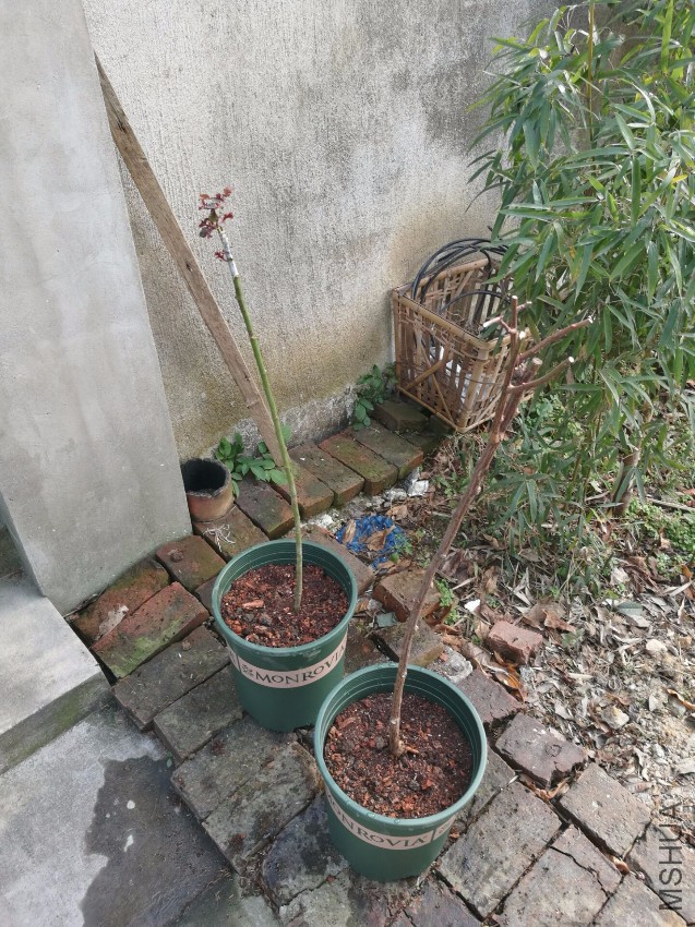 QQͼƬ20170116105147.jpg