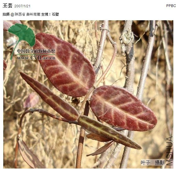 2015-12-03 15 47 52.jpg