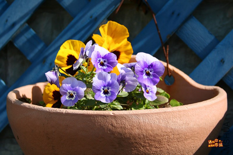 ��Ƭ 085_����.jpg