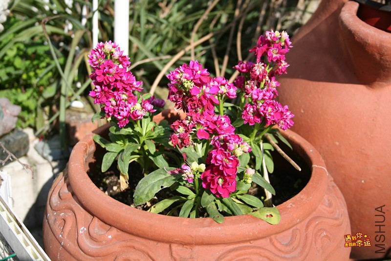 ��Ƭ 105_����.jpg