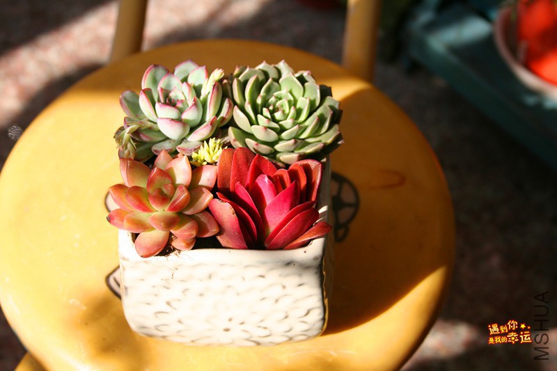 ��Ƭ 040_����.jpg