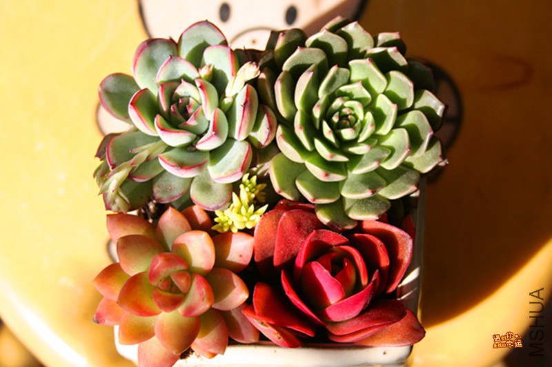 ��Ƭ 041_����.jpg