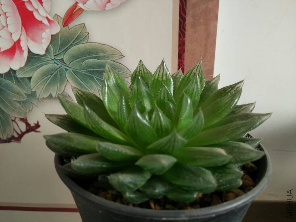 123403g116whdrm7e76exr.jpg