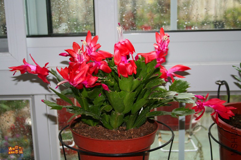 ��Ƭ 015_����.jpg