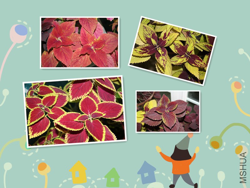 ��Ƭ 032_����.jpg