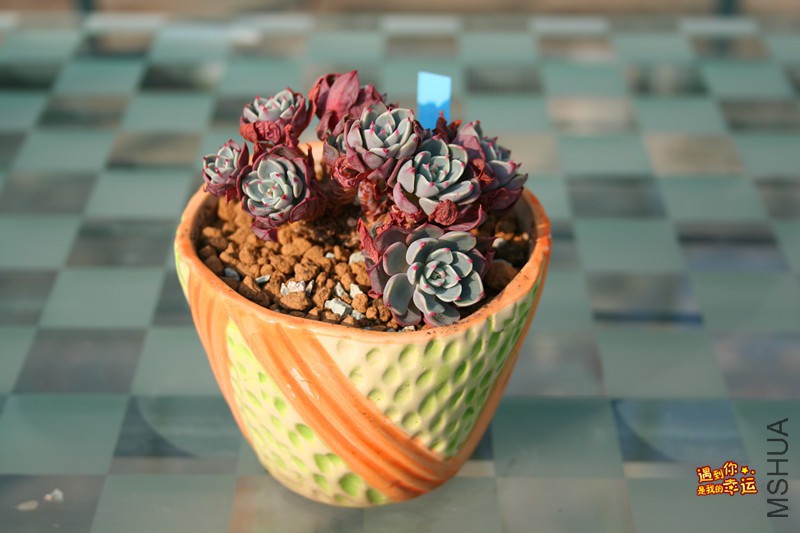 ��Ƭ 160_����.jpg