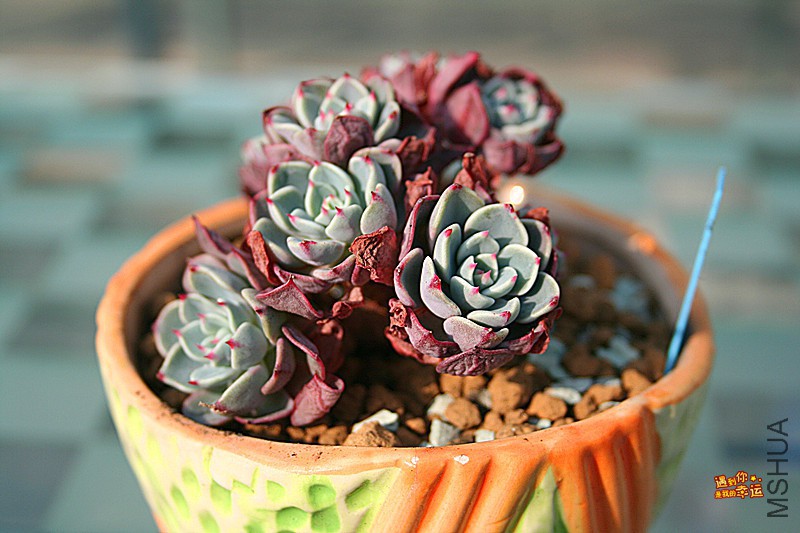 ��Ƭ 161_����.jpg