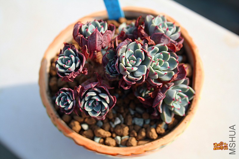 ��Ƭ 163_����.jpg