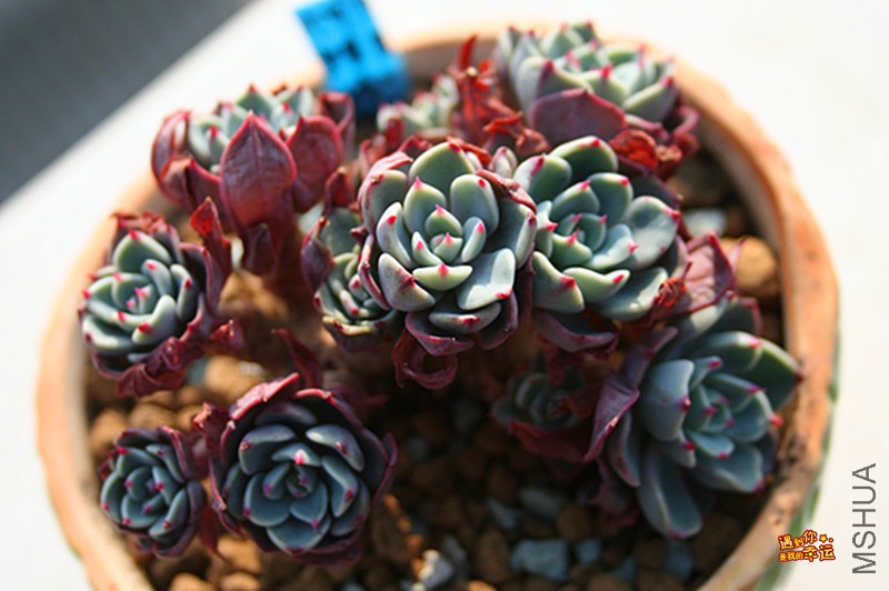 ��Ƭ 165_����.jpg