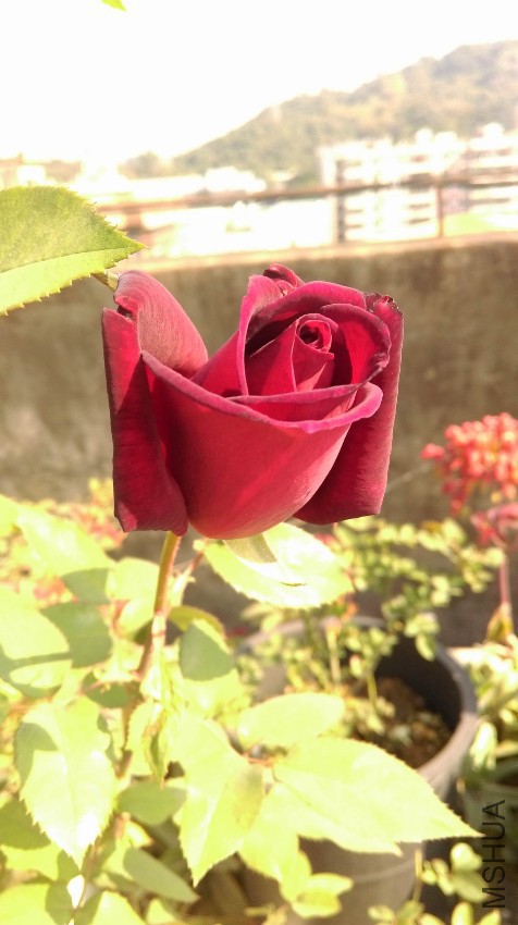 ������С QQͼƬ20170119171749.jpg