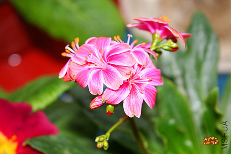 ��Ƭ 013_����.jpg