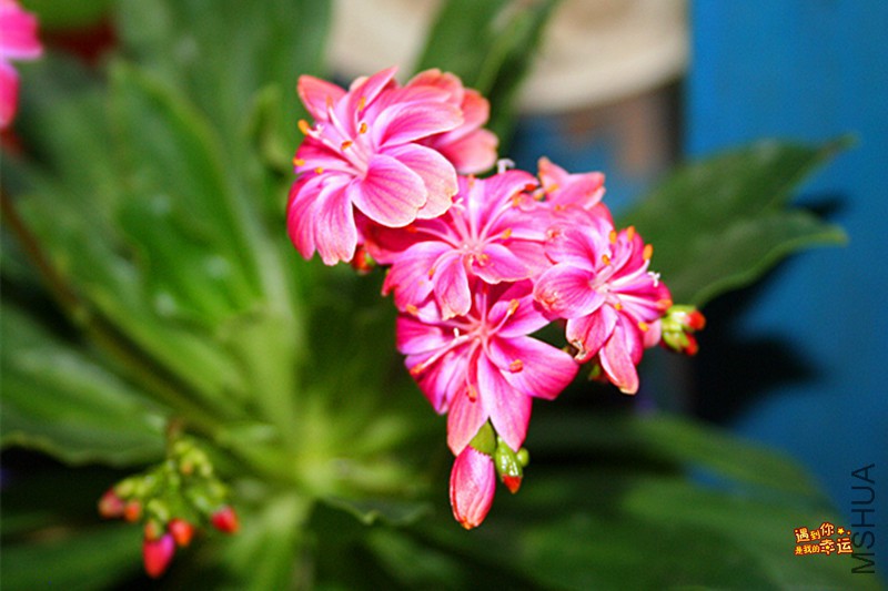 ��Ƭ 012_����.jpg