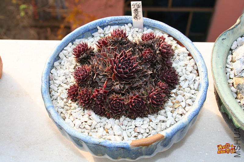 ��Ƭ 218_����.jpg