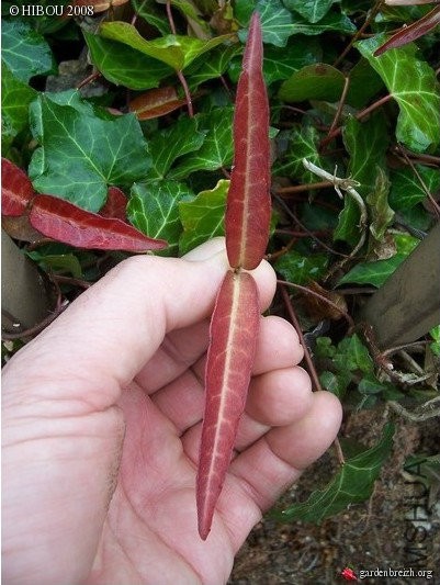 2017-01-19 22 56 01.jpg