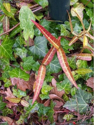 2017-01-19 22 56 19.jpg