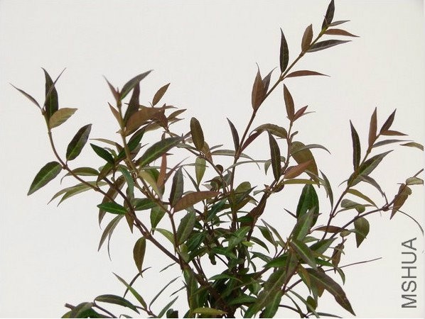 2017-01-19 22 57 17.jpg