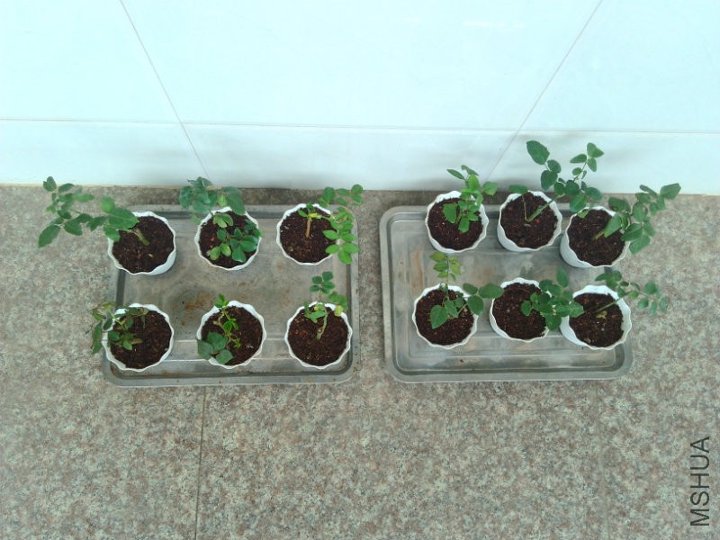 ������������