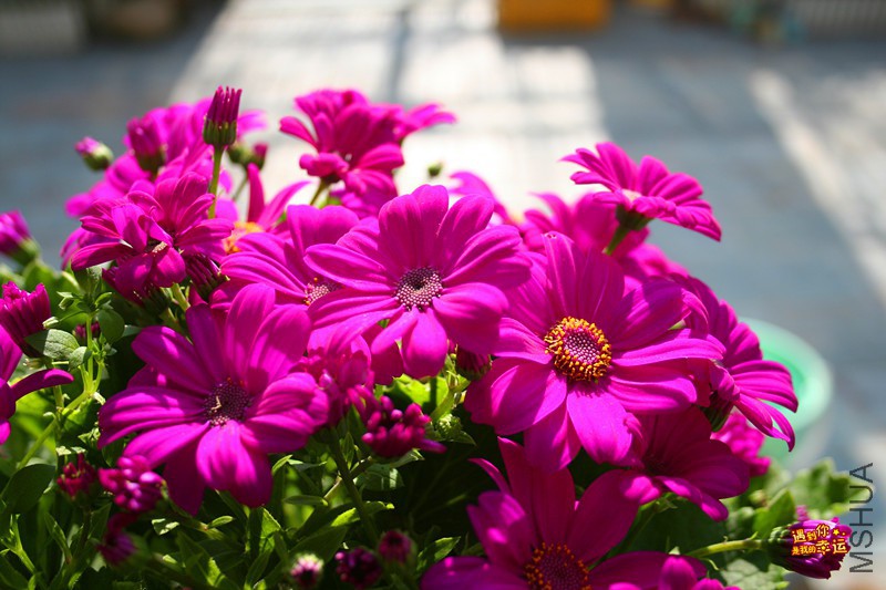 ��Ƭ 077_����.jpg