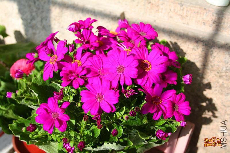 ��Ƭ 074_����.jpg