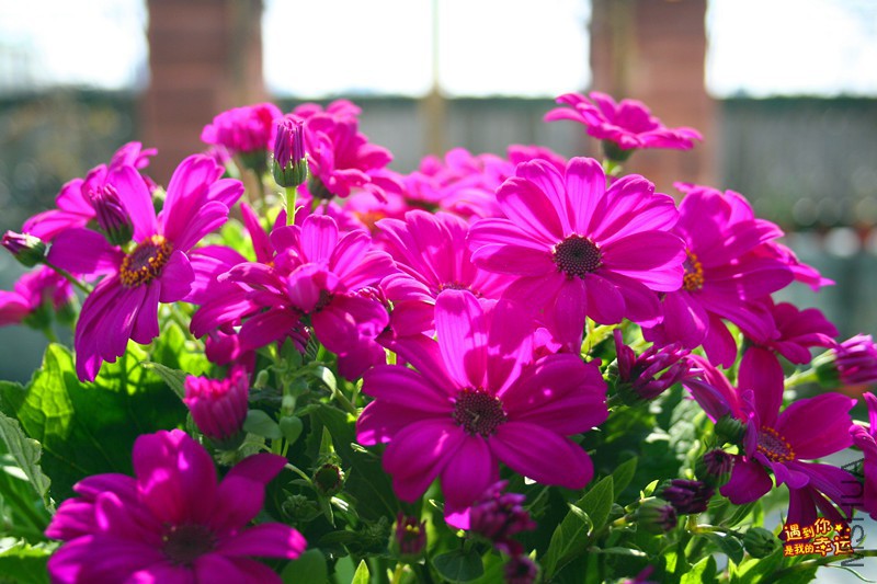 ��Ƭ 078_����.jpg