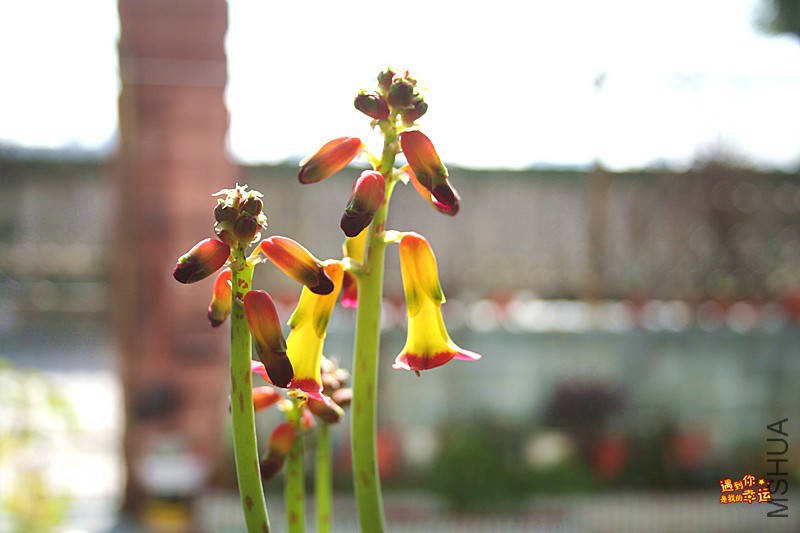 ��Ƭ 044_����.jpg