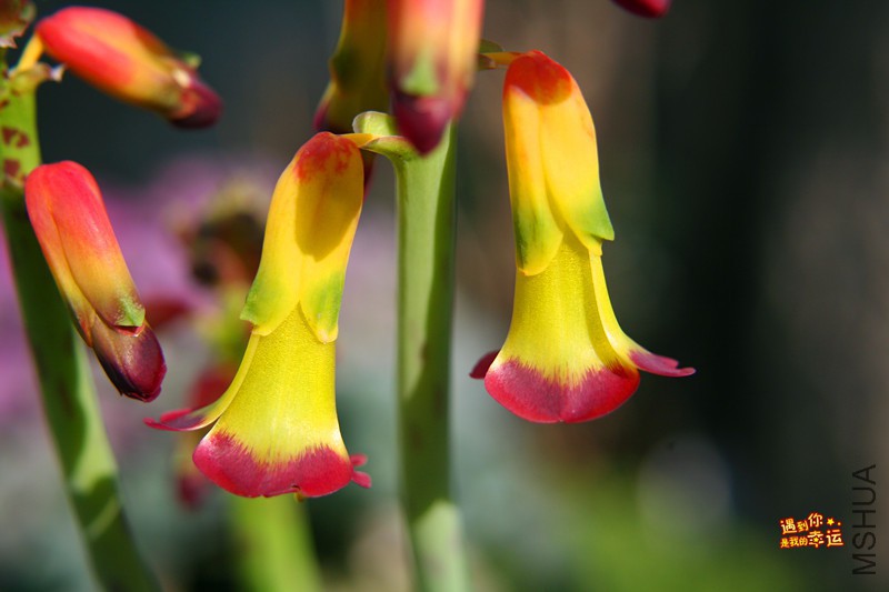 ��Ƭ 048_����.jpg