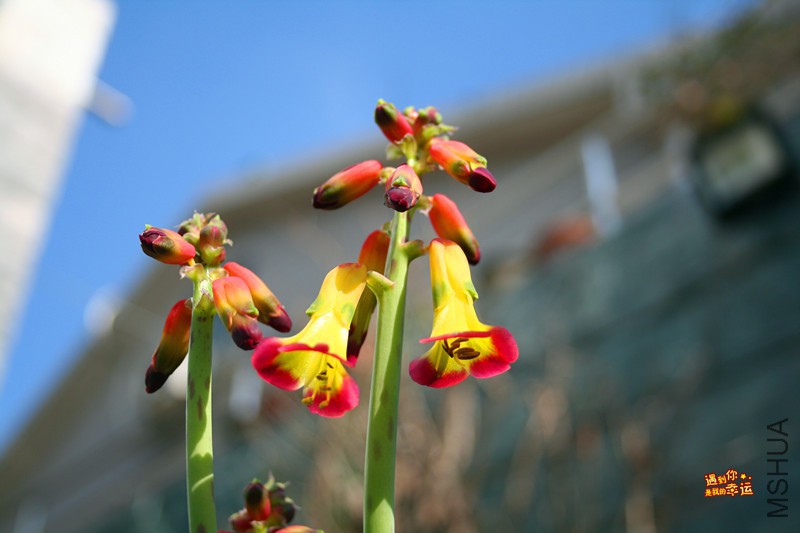 ��Ƭ 045_����.jpg