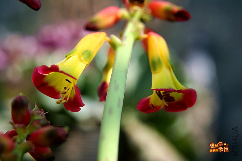 ��Ƭ 051_����.jpg