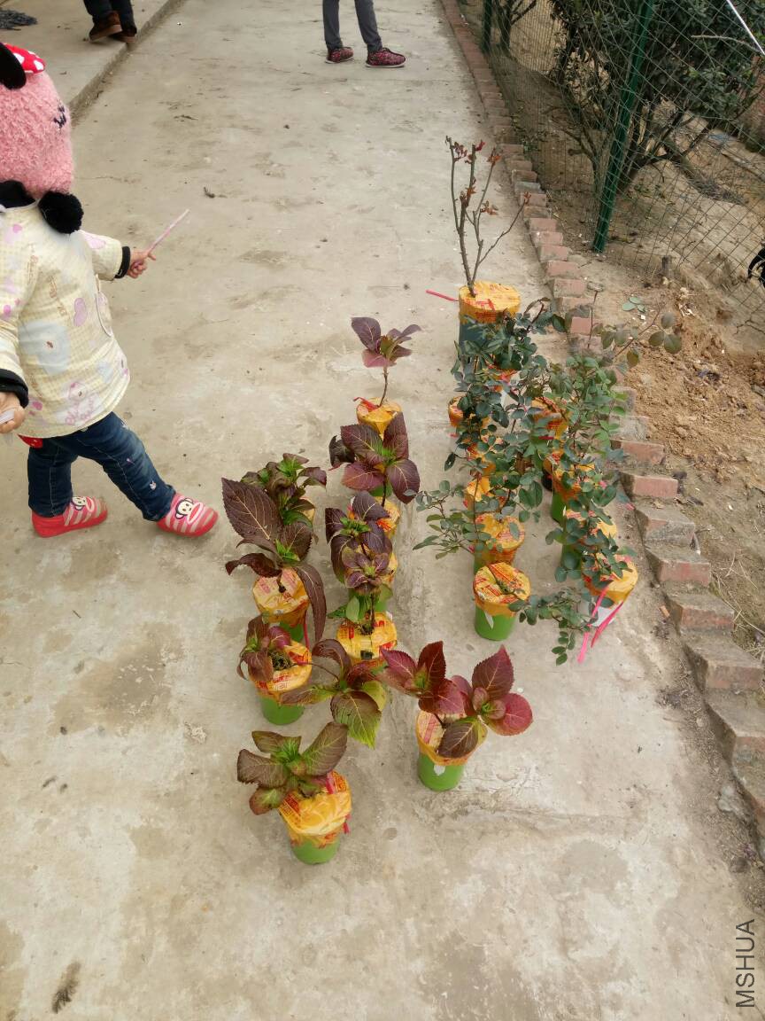 203808rd02lxdryuajl272.jpg