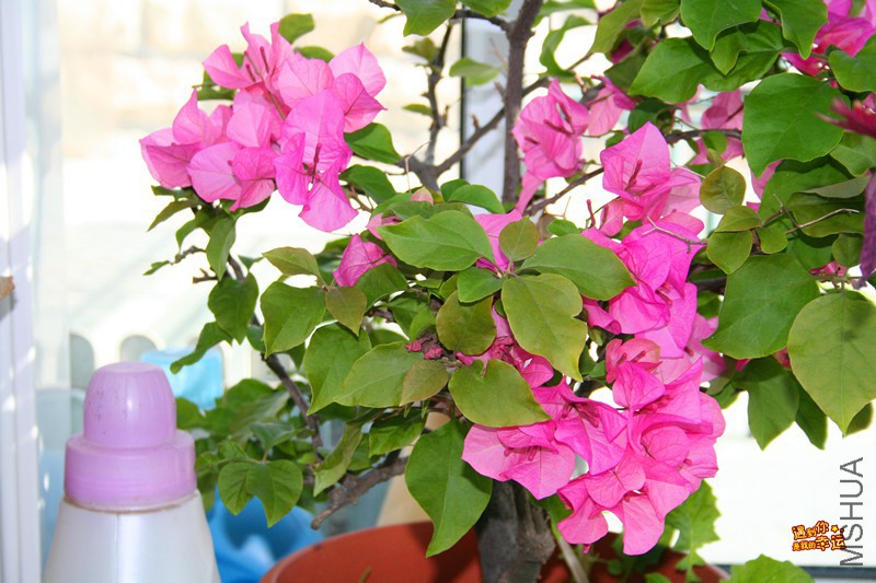 ��Ƭ 081_����.jpg