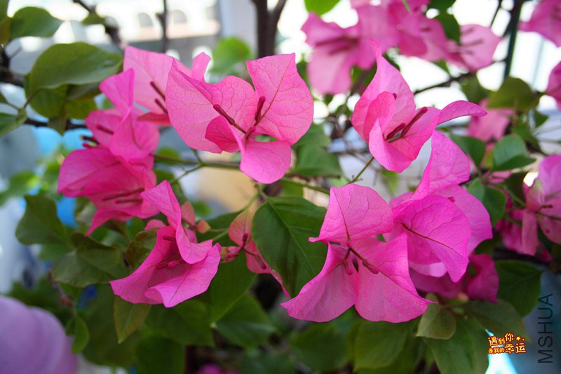 ��Ƭ 083_����.jpg