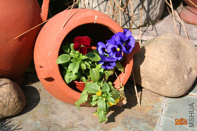 ��Ƭ 157_����.jpg