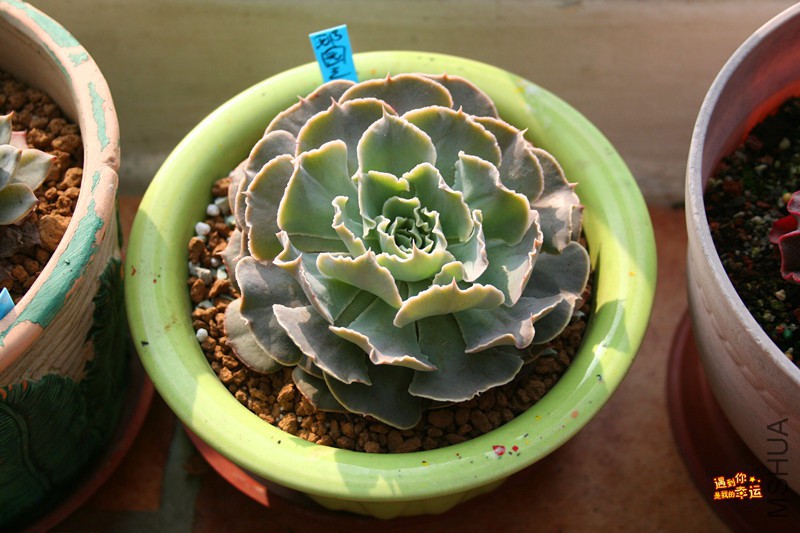 ��Ƭ 002_����.jpg