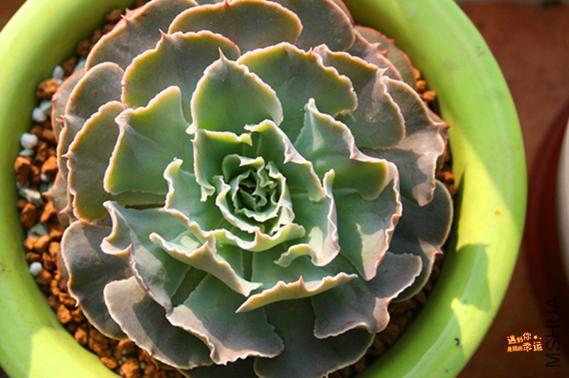 ��Ƭ 004_����.jpg