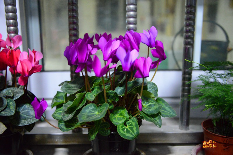 ��Ƭ 020_����.jpg