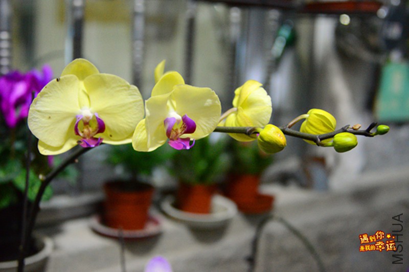 ��Ƭ 015_����.jpg