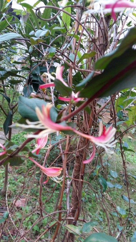 20170120_175643_����.jpg