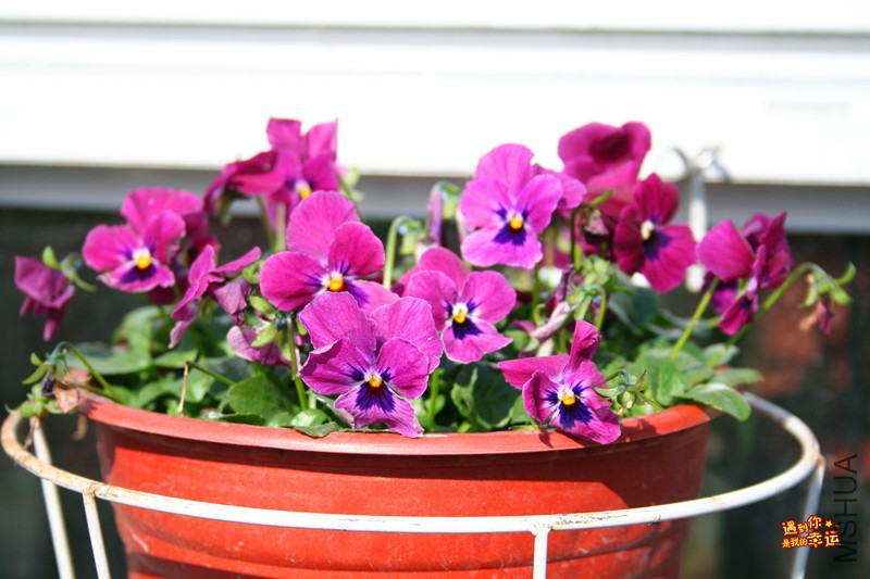 ��Ƭ 135_����.jpg