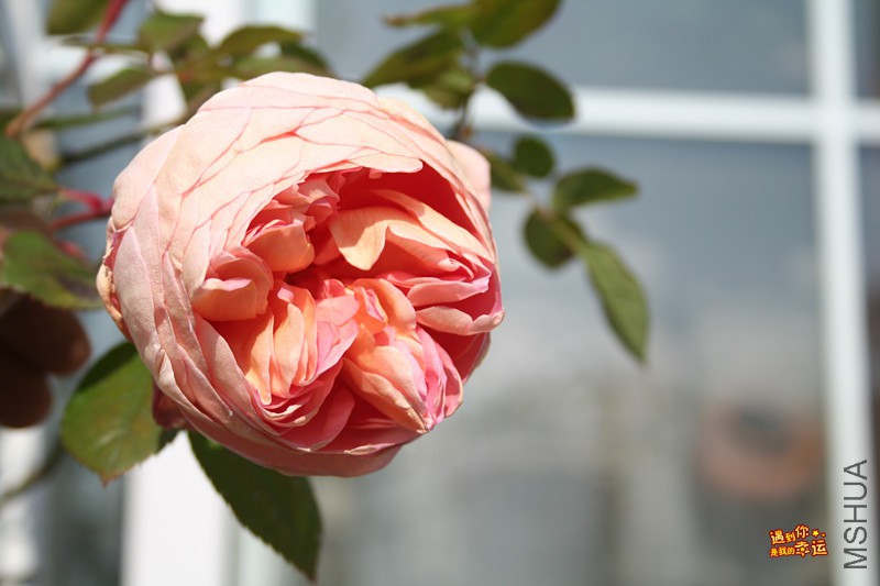 ��Ƭ 110_����.jpg